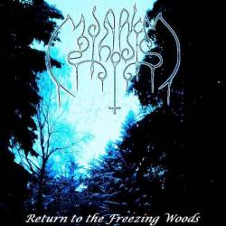 Return to the Freezing Woods